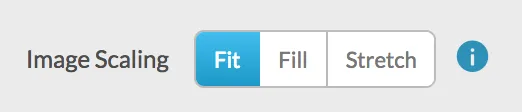 Image Scaling Options
