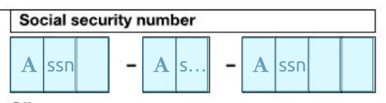 Three SSN Fields with Comb options